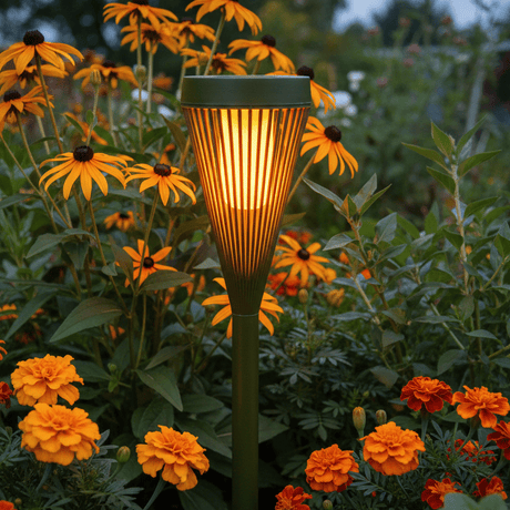Grøn solflammerlys rudbeckia