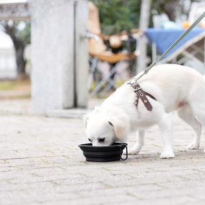 Portabel hundeskål i silikon med lokk brukt til vann på tur