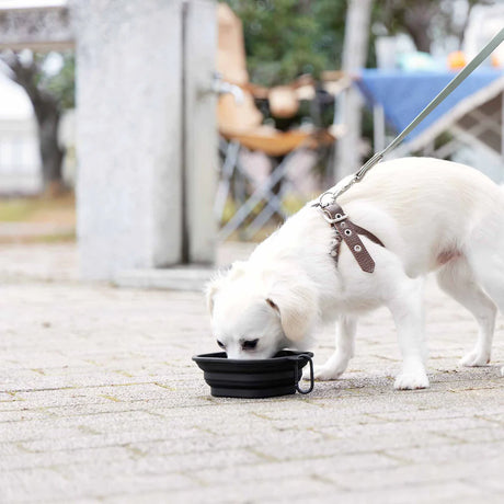 Portabel hundeskål i silikon med lokk brukt til vann på tur