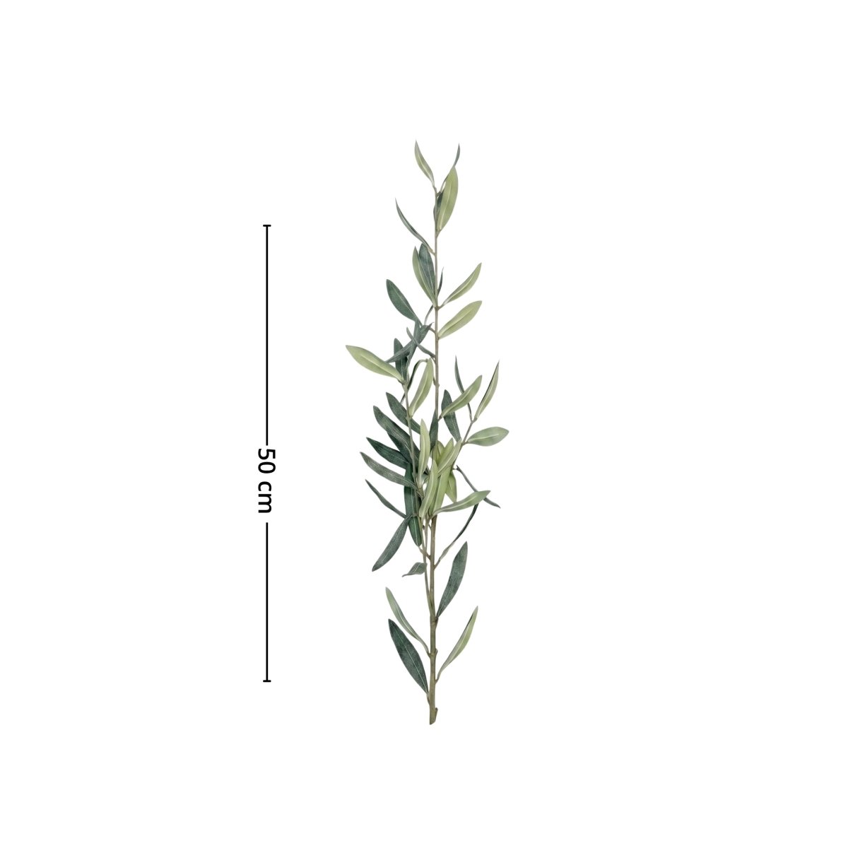 Produktbilde av Mr. Plant olivenkvist 50 cm med grønne olivenblader