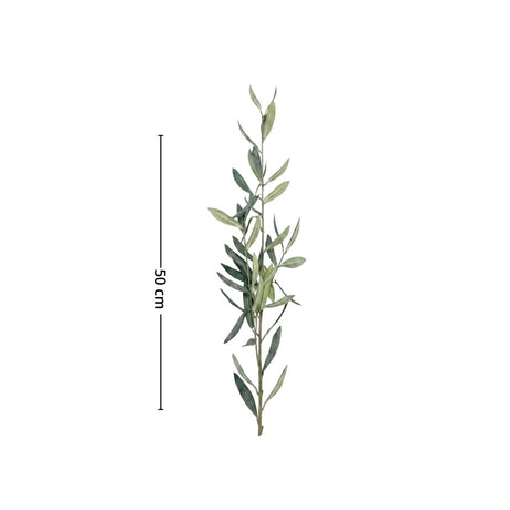 Produktbilde av Mr. Plant olivenkvist 50 cm med grønne olivenblader