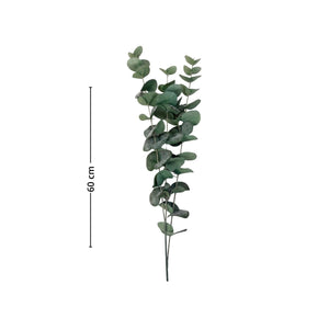 Produktbilde av Mr. Plant eukalyptus 60 cm med grønne blader og stilk