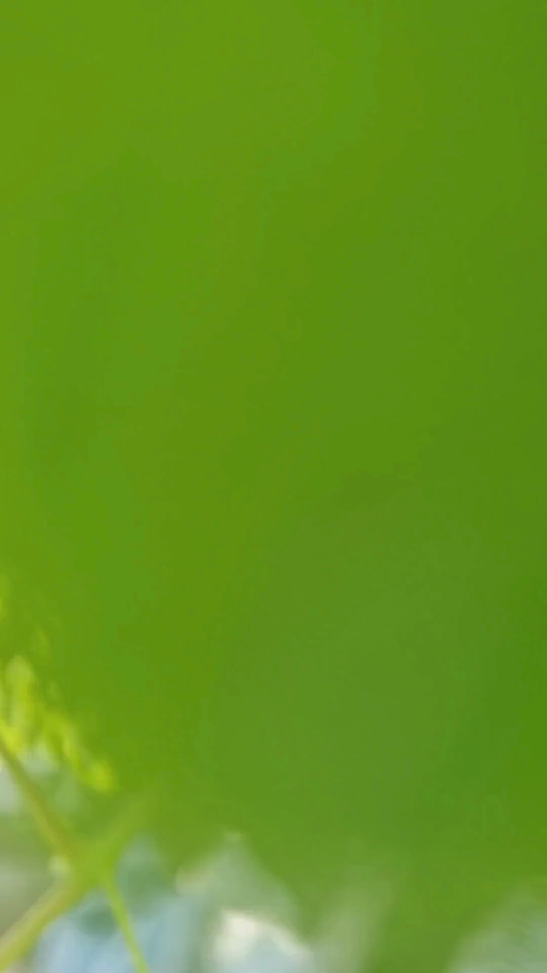 Beige sengesett med broderi fra Halvor Bakke