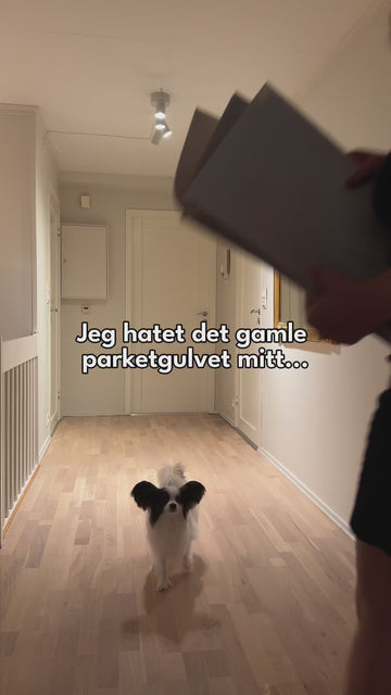 Video 4