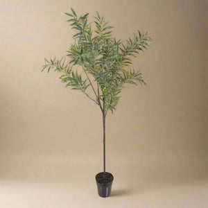 Mr. Plant Oliventre 170 cm