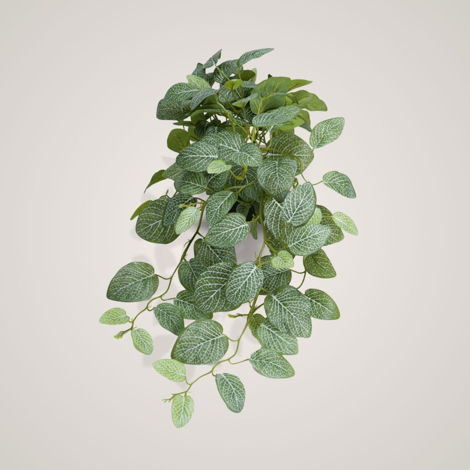Kunstig Fittonia-plante med tette blader mot beige bakgrunn.