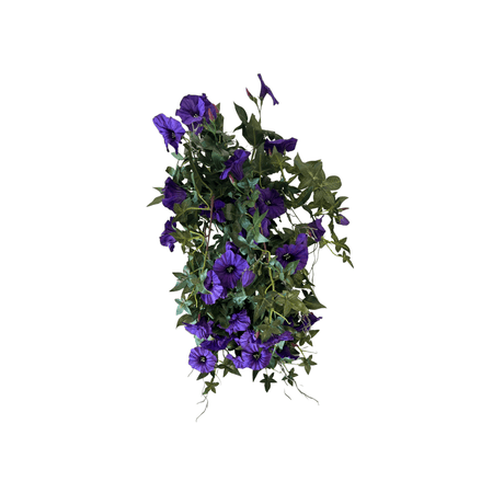 Mr. plant blomma för dagen - Lindas Dekor