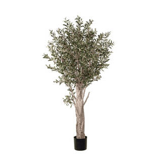 Mr. Plant Oliventre 190 cm