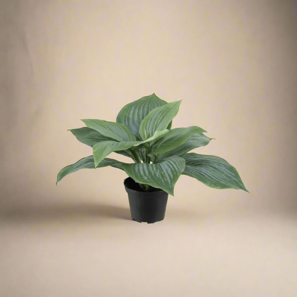 Mr Plant Leaf lilja, 20 cm