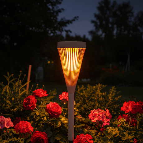 Solflammljus blandt roser om natten