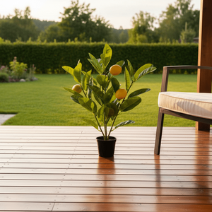 Veranda ettermiddagslys