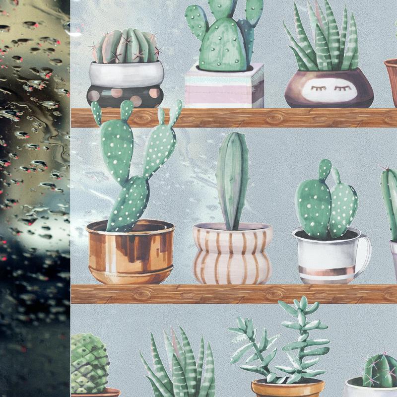 Statisk Cactus fönsterfilm