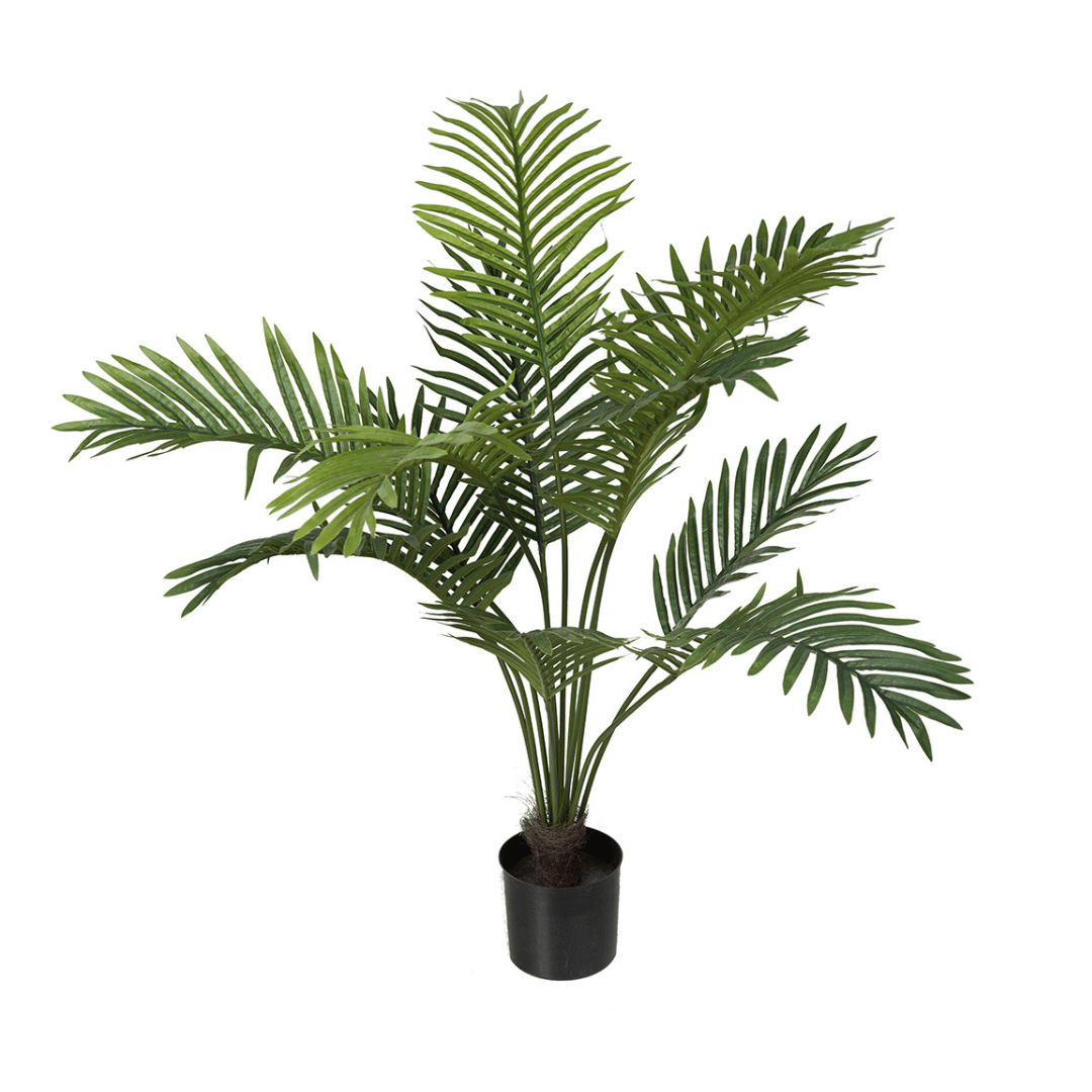 Herr Plant Palm 80 cm
