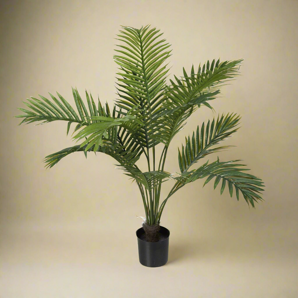 Mr. Plant Palme 80 cm