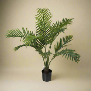 Herr Plant Palm 80 cm